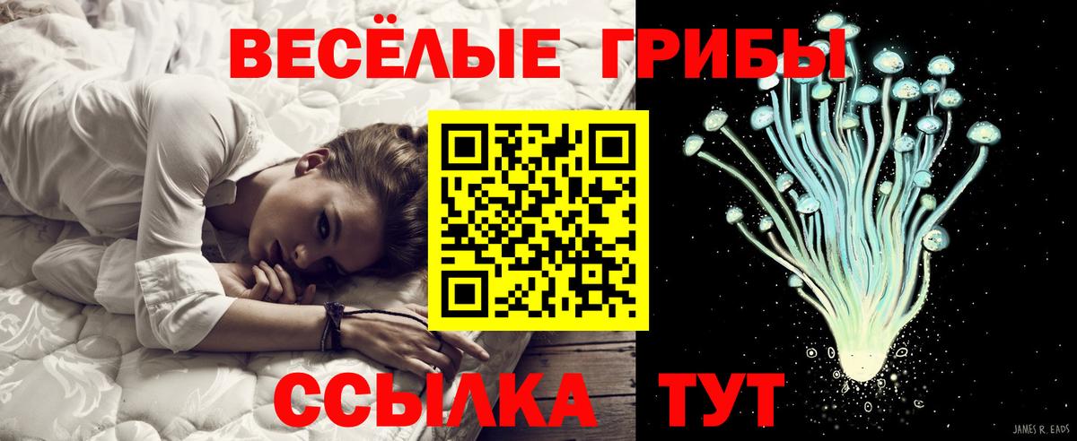 Ростов-на-Дону  Галлюциногенные грибы MAGIC MUSHROOMS  Вход с VPN 