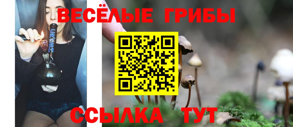 Галлюциногенные грибы Magic Shrooms Ростов-на-Дону
